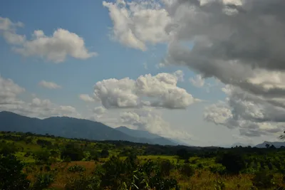 DSC_4388 (Large).JPG